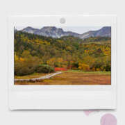 ヒメ日記 2025/10/15 16:02 投稿 わかな 奥鉄オクテツ東京店（デリヘル市場）