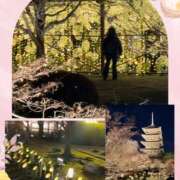 ヒメ日記 2026/02/16 12:41 投稿 わかな 奥鉄オクテツ東京店（デリヘル市場）