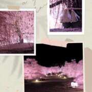 ヒメ日記 2026/03/11 22:18 投稿 わかな 奥鉄オクテツ東京店（デリヘル市場）