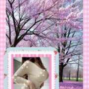 ヒメ日記 2025/03/20 15:45 投稿 こうが 佐久上田人妻隊