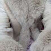 ヒメ日記 2025/01/18 23:32 投稿 西連寺香里 五十路マダム 愛されたい熟女たち 高松店