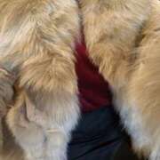 ヒメ日記 2025/03/22 23:20 投稿 西連寺香里 五十路マダム 愛されたい熟女たち 高松店