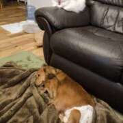 ヒメ日記 2025/11/04 20:26 投稿 西連寺香里 五十路マダム 愛されたい熟女たち 高松店