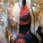 ヒメ日記 2025/11/14 23:14 投稿 西連寺香里 五十路マダム 愛されたい熟女たち 高松店