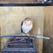 ヒメ日記 2026/01/02 12:44 投稿 西連寺香里 五十路マダム 愛されたい熟女たち 高松店