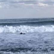 ヒメ日記 2025/02/10 14:35 投稿 まこ 横浜熟女MAX