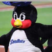 ヒメ日記 2025/03/26 21:05 投稿 まこ 横浜熟女MAX