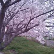 ヒメ日記 2026/04/02 12:32 投稿 みさき 小岩人妻花壇