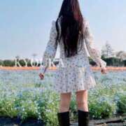 ヒメ日記 2025/04/19 15:13 投稿 きょうか Ace(エース)