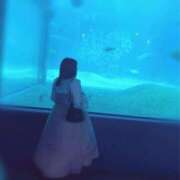 てあ たのしみ！！ 長野飯田ちゃんこ