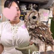 ヒメ日記 2025/08/10 11:45 投稿 深月 りな Prae(プラエ)