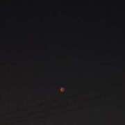 ヒメ日記 2025/09/08 03:34 投稿 深月 りな Prae(プラエ)