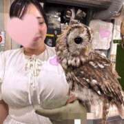 ヒメ日記 2026/09/13 15:03 投稿 深月 りな Prae(プラエ)