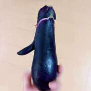 ヒメ日記 2025/08/28 18:12 投稿 あすか フロンティア