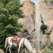 ヒメ日記 2026/01/27 18:48 投稿 あすか フロンティア