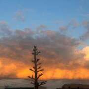 ヒメ日記 2026/03/11 11:52 投稿 えま i-doll（あいどーる）