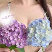 ヒメ日記 2025/05/31 16:07 投稿 なな 奥鉄オクテツ兵庫