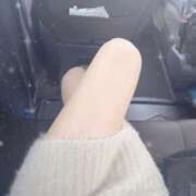 ヒメ日記 2025/04/24 12:49 投稿 ひだか シークレットサービス