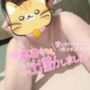 ヒメ日記 2025/08/22 10:29 投稿 みゆき DOUBLE（すすきの）