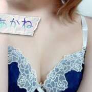 ヒメ日記 2025/03/29 01:42 投稿 あかね ～魅惑～美女妻クラブ