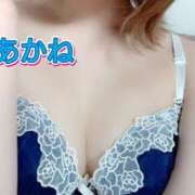 ヒメ日記 2025/03/29 21:49 投稿 あかね ～魅惑～美女妻クラブ