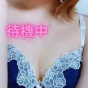 ヒメ日記 2025/11/12 02:40 投稿 あかね ～魅惑～美女妻クラブ