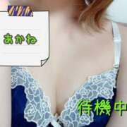 ヒメ日記 2026/04/28 00:30 投稿 あかね ～魅惑～美女妻クラブ