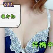 ヒメ日記 2026/10/09 01:36 投稿 あかね ～魅惑～美女妻クラブ