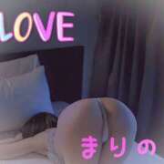 ヒメ日記 2025/01/07 05:20 投稿 まりの ～魅惑～美女妻クラブ