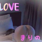 ヒメ日記 2025/03/04 05:40 投稿 まりの ～魅惑～美女妻クラブ