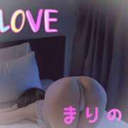 ヒメ日記 2025/06/13 05:10 投稿 まりの ～魅惑～美女妻クラブ