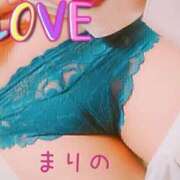 ヒメ日記 2026/09/02 19:50 投稿 まりの ～魅惑～美女妻クラブ