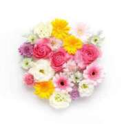 ヒメ日記 2025/01/22 04:21 投稿 あやか マリン土浦本店