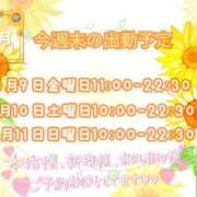 きこ 8月出勤予定 浜松発人妻＆素人ORION(オリオン)