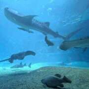 ヒメ日記 2025/07/13 19:20 投稿 あんな 谷町人妻ゴールデン倶楽部