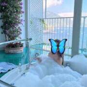 ヒメ日記 2025/09/14 11:43 投稿 さな ミセス ファースト -お姉さん・若妻専門店-