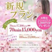 ヒメ日記 2025/04/09 17:33 投稿 ジュン Celeb Garden(セレブガーデン)