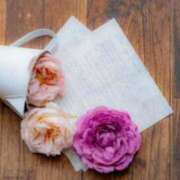 ヒメ日記 2026/04/27 11:33 投稿 ジュン Celeb Garden(セレブガーデン)