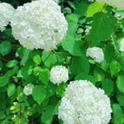ヒメ日記 2026/05/02 19:52 投稿 りん Unmoral～アンモラル～