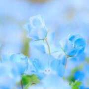 ヒメ日記 2026/05/11 19:01 投稿 ふたば 浜松発人妻＆素人ORION(オリオン)