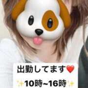 ヒメ日記 2025/01/29 09:45 投稿 あこ ぷるるん小町日本橋店