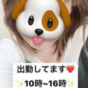 ヒメ日記 2025/02/03 09:45 投稿 あこ ぷるるん小町日本橋店