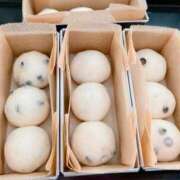 ヒメ日記 2025/02/15 10:00 投稿 あこ ぷるるん小町日本橋店