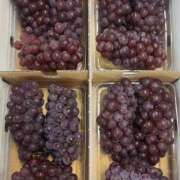 ヒメ日記 2025/07/23 17:30 投稿 あこ ぷるるん小町日本橋店