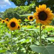 ヒメ日記 2025/07/26 11:15 投稿 あこ ぷるるん小町日本橋店