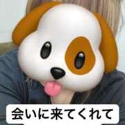 ヒメ日記 2025/07/30 17:51 投稿 あこ ぷるるん小町日本橋店