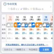 ヒメ日記 2025/10/14 19:30 投稿 あこ ぷるるん小町日本橋店