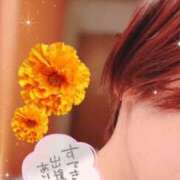 ヒメ日記 2025/03/23 08:22 投稿 川島まりん 五十路マダム金沢店