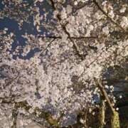 ヒメ日記 2025/04/04 06:20 投稿 川島まりん 五十路マダム金沢店