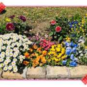 ヒメ日記 2025/05/05 07:04 投稿 川島まりん 五十路マダム金沢店